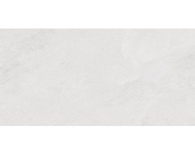 Porter Silver Керамогранит светло-серый LP6012G0171R 59,5х119,1 матовый
