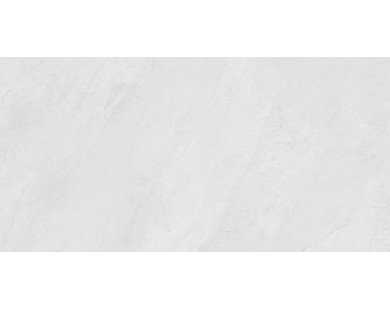 Porter Silver Керамогранит светло-серый LP6012G0171R 59,5х119,1 матовый