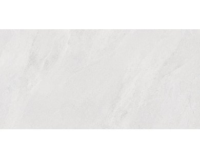 Porter Silver Керамогранит светло-серый LP6012G0171R 59,5х119,1 матовый