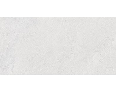 Porter Silver Керамогранит светло-серый LP6012G0171R 59,5х119,1 матовый