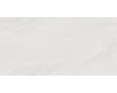 Porter Silver Керамогранит светло-серый LP6012G0171R 59,5х119,1 матовый