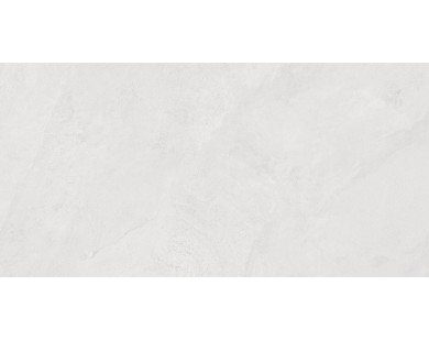 Porter Silver Керамогранит светло-серый LP6012G0171R 59,5х119,1 матовый