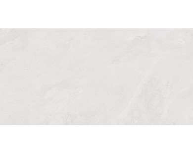 Porter Silver Керамогранит светло-серый LP6012G0171R 59,5х119,1 матовый