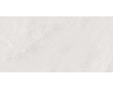 Porter Silver Керамогранит светло-серый LP6012G0171R 59,5х119,1 матовый