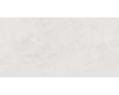 Porter Silver Керамогранит светло-серый LP6012G0171R 59,5х119,1 матовый