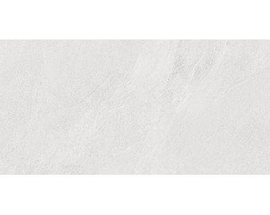 Porter Silver Керамогранит светло-серый LP6012G0171R 59,5х119,1 матовый