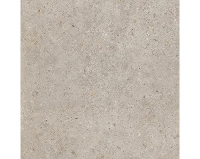 Риккарди Керамогранит бежевый матовый обрезной SG653820R 60x60