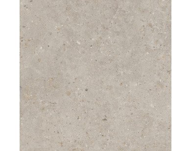 Риккарди Керамогранит бежевый матовый обрезной SG653820R 60x60