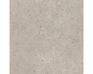 Риккарди Керамогранит бежевый матовый обрезной SG653820R 60x60