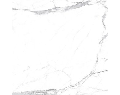 Carrara Terrific Silver Керамогранит белый 60х60 Матовый