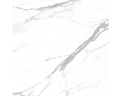 Carrara Terrific Silver Керамогранит белый 60х60 Матовый