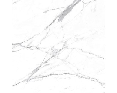 Carrara Terrific Silver Керамогранит белый 60х60 Матовый