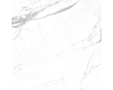 Carrara Terrific Silver Керамогранит белый 60х60 Матовый