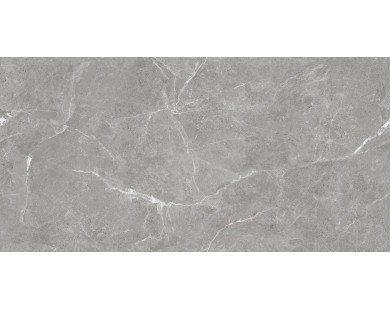 Stone Cool Grey Керамогранит серый 60х120 Матовый