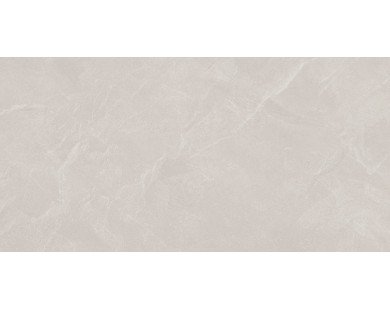 Archie Bianco Pro Керамогранит светло-серый 60х120 матовый R10GR STR
