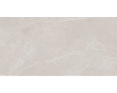Archie Bianco Pro Керамогранит светло-серый 60х120 матовый R10GR STR