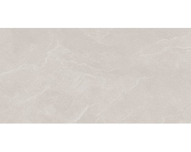Archie Bianco Pro Керамогранит светло-серый 60х120 матовый R10GR STR