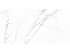 Carrara Blanco PRO Керамогранит белый 60х120 матовый R10Soft