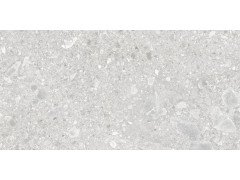Ceppo Blanco PRO Керамогранит серый 60х120 матовый R10Soft