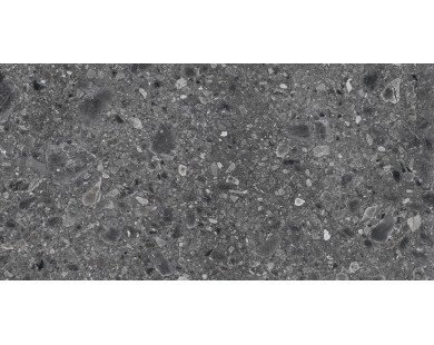 Ceppo Nero PRO Керамогранит графитовый 60х120 матовый R10Soft