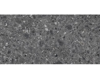 Ceppo Nero PRO Керамогранит графитовый 60х120 матовый R10Soft