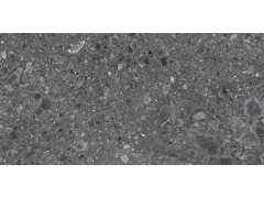 Ceppo Nero PRO Керамогранит графитовый 60х120 матовый R10Soft