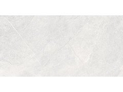 Overvland Moon Керамогранит светло-серый 60х120 матовый+гл.чернила STR