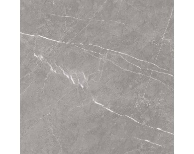 Pietra Grey Керамогранит серый 60х60 матовый карвинг
