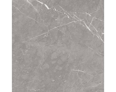 Pietra Grey Керамогранит серый 60х60 матовый карвинг