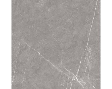 Pietra Grey Керамогранит серый 60х60 матовый карвинг