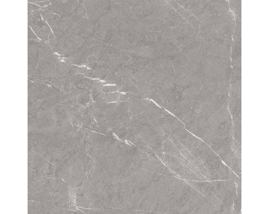 Pietra Grey Керамогранит серый 60х60 матовый карвинг