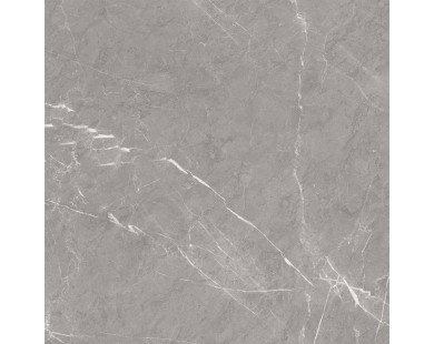 Pietra Grey Керамогранит серый 60х60 матовый карвинг