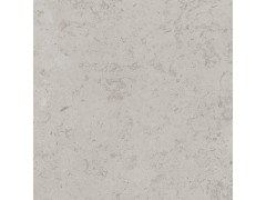 Про Лаймстоун серый светлый натуральный обрезной DD641020R 60х60