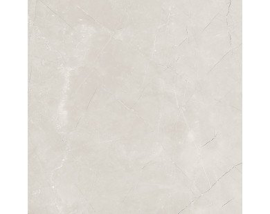 Vitrume Taupe PRO Керамогранит бежевый 60х60 матовый R11Soft