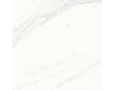 Calacatta Superb Керамогранит белый 60x60 матовый