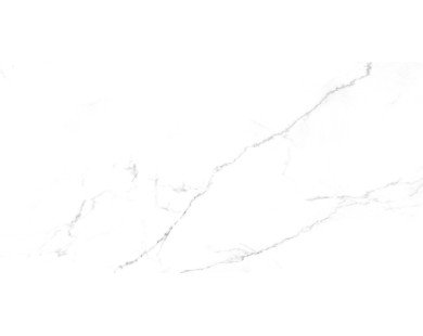 Discovery Blanco Керамогранит белый SG50002420R 60х119,5 матовый