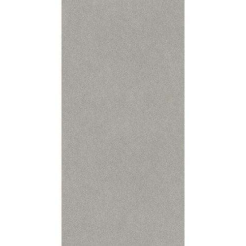 Джиминьяно Керамогранит серый матовый обрезной DD519320R 60х119,5