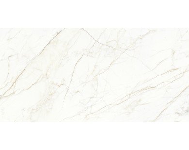 Europa Gold l Керамогранит белый 60x120 Матовый Карвинг