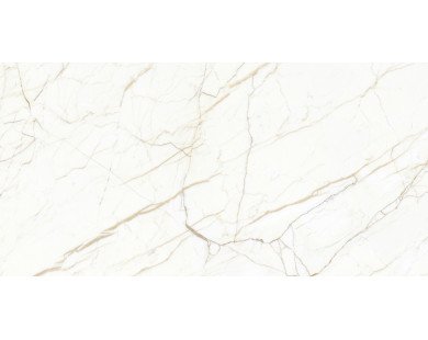Europa Gold l Керамогранит белый 60x120 Матовый Карвинг