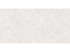 Mramor Princess White Керамогранит светло-серый 60х120 Полированный
