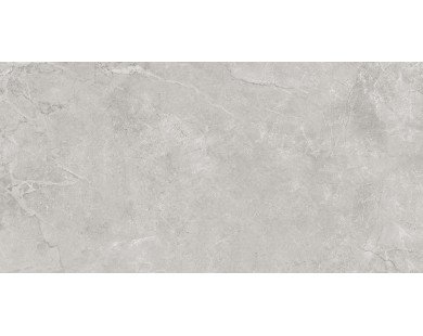 Pluto Silver Керамогранит светло-серый SG50005220R 60х119,5 матовый