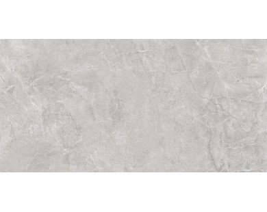 Pluto Silver Керамогранит светло-серый SG50005220R 60х119,5 матовый