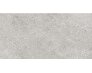 Pluto Silver Керамогранит светло-серый SG50005220R 60х119,5 матовый