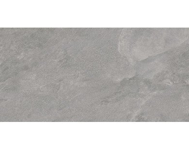 Porter Gray Керамогранит серый LP6012G0181R 59,5х119,1 матовый