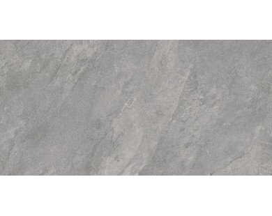 Porter Gray Керамогранит серый LP6012G0181R 59,5х119,1 матовый