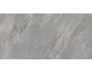 Porter Gray Керамогранит серый LP6012G0181R 59,5х119,1 матовый