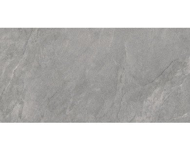 Porter Gray Керамогранит серый LP6012G0181R 59,5х119,1 матовый