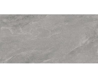 Porter Gray Керамогранит серый LP6012G0181R 59,5х119,1 матовый
