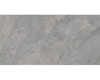 Porter Gray Керамогранит серый LP6012G0181R 59,5х119,1 матовый