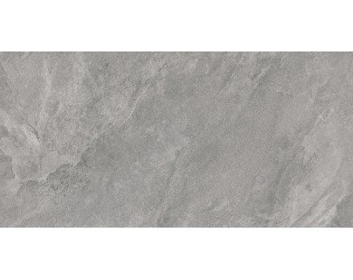 Porter Gray Керамогранит серый LP6012G0181R 59,5х119,1 матовый